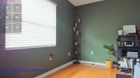 Wolfienov online show from 27, 12, 2024