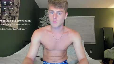 Wolfienov online show from 14, 2, 2025