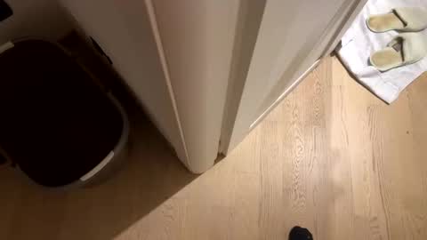 wolfyy1980 online show from 9, 6, 2026