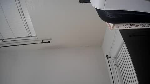 WoodCouldShould86 online show from 15, 1, 2026