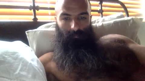 woof_wolf37 online show from 15, 2, 2026