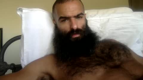 woof_wolf37 online show from 21, 3, 2026