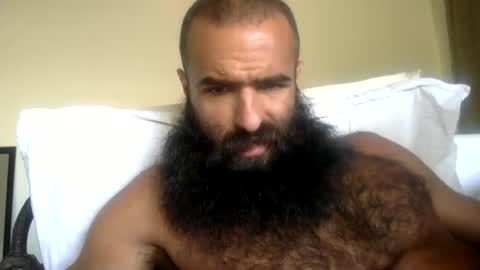 woof_wolf37 online show from 11, 5, 2026