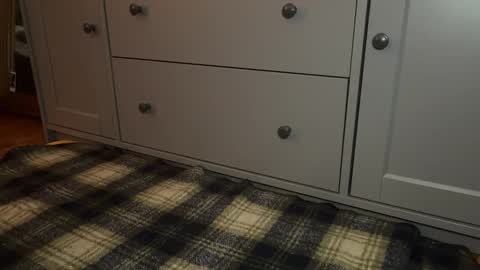 Sage online show from 21, 12, 2025