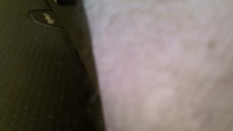 wrangleat0r online show from 11, 1, 2026