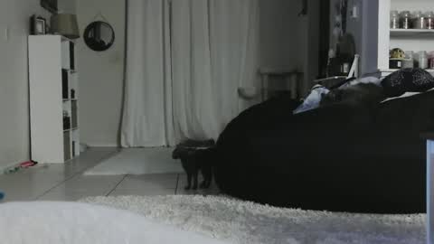 Crystal Lake online show from 5, 1, 2025