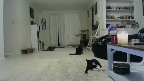 Crystal Lake online show from 19, 10, 2025