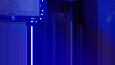 Snapshot of wundrsword33 chatting on 5, 1, 2025 BONER DONOR online show from 5, 1, 2025