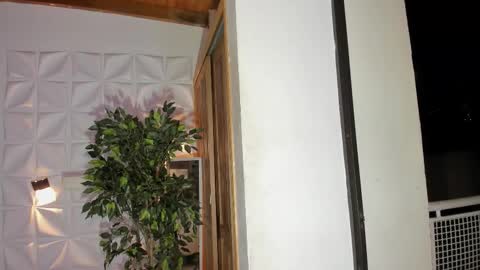 wyatt online show from 14, 11, 2025