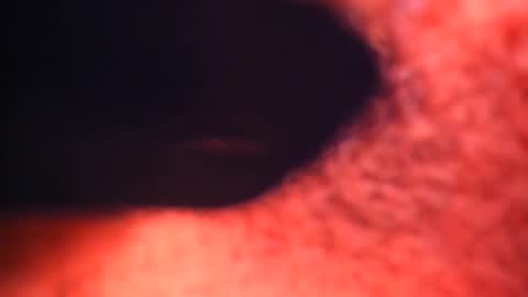 XALLYSONX online show from 12, 2, 2025