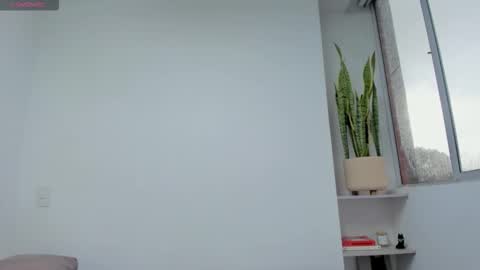 Xavier online show from 18, 11, 2025