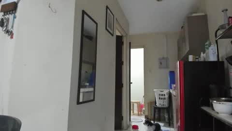 Snapshot of xdreamangel chatting on 27, 1, 2025 xdreamangel online show from 27, 1, 2025