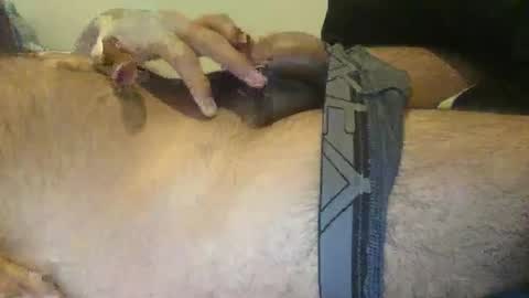 xenextra online show from 3, 12, 2024