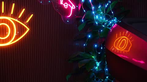 Anne online show from 5, 3, 2025