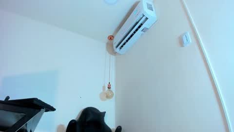 Genesis online show from 21, 1, 2025