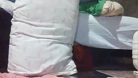 Snapshot of xhotskinny69x chatting on 5, 3, 2025 xhotskinny69x online show from 5, 3, 2025