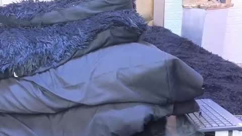 ximena online show from 22, 2, 2025