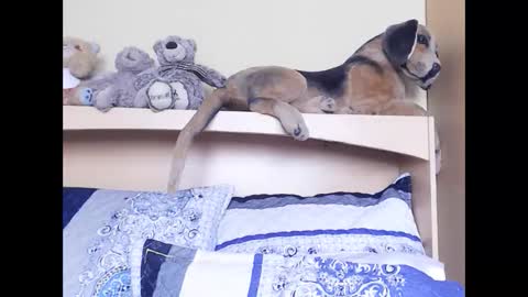 Miss Ria online show from 6, 2, 2026