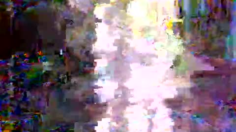 Snapshot of xixo6969 chatting on 3, 2, 2026 xixo6969 online show from 3, 2, 2026