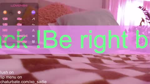 Snapshot of xo_sadie chatting on 17, 6, 2026 Xo Sadie online show from 17, 6, 2026