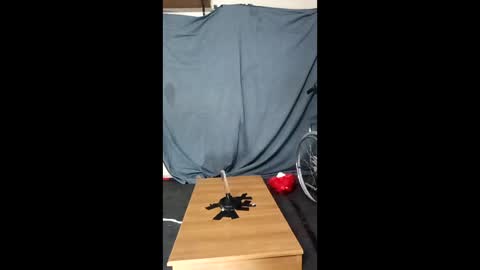 xoomia3 online show from 10, 1, 2026