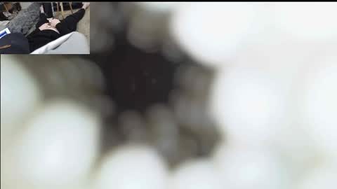 xoxowtf online show from 11, 1, 2026