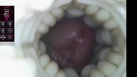 xoxowtf online show from 9, 2, 2026