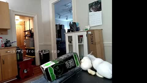 Snapshot of xstay_coldx chatting on 10, 2, 2025 Johnny online show from 10, 2, 2025