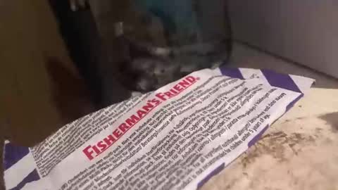 Snapshot of xvoyeur2011x chatting on 3, 4, 2026 xvoyeur2011x online show from 3, 4, 2026