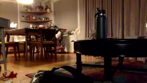 Snapshot of xxtina69x chatting on 2, 12, 2024 yayalala online show from 2, 12, 2024