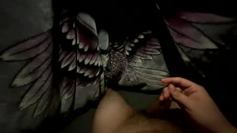 xxxceo online show from 15, 2, 2026