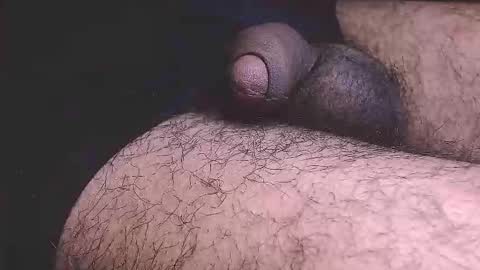 Prince online show from 19, 2, 2026