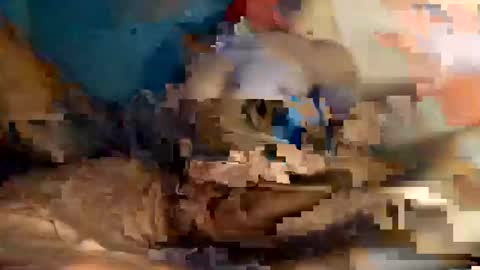 xxxdarknagician81 online show from 21, 9, 2025