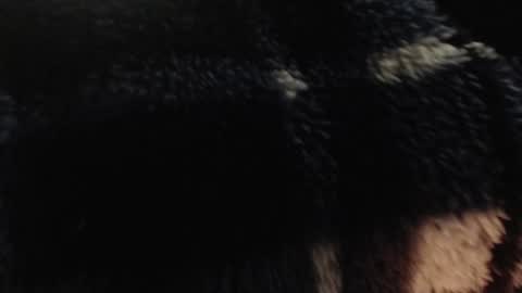 Snapshot of xxxking89 chatting on 14, 12, 2024 xxxking89 online show from 14, 12, 2024