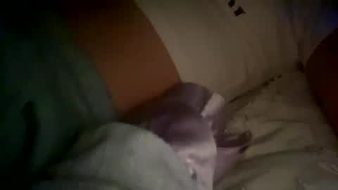 Snapshot of xxxsophiaday chatting on 4, 10, 2025 xxxsophiaday online show from 4, 10, 2025