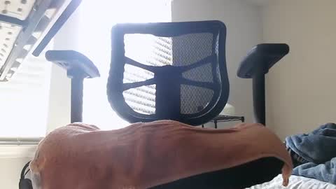 Snapshot of yahbuddy chatting on 3, 10, 2025 yahbuddy online show from 3, 10, 2025