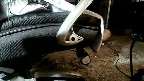 yamagrow online show from 19, 4, 2026