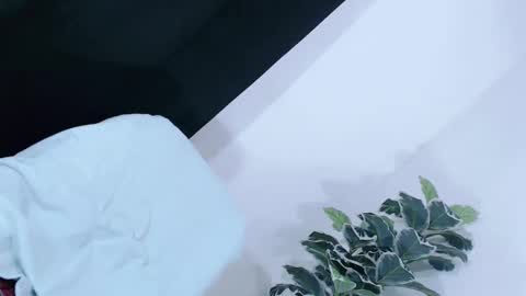 Snapshot of yams_kitty69 chatting on 20, 11, 2025 yams_kitty69 online show from 20, 11, 2025