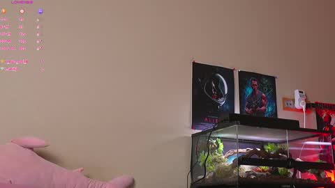 Yara online show from 3, 4, 2026