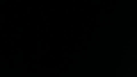 Yasmina online show from 3, 12, 2024