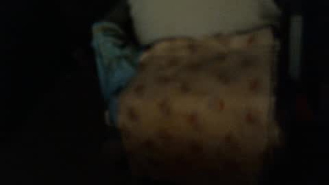 .     y e l l o w s n a k e s       . online show from 6, 1, 2026