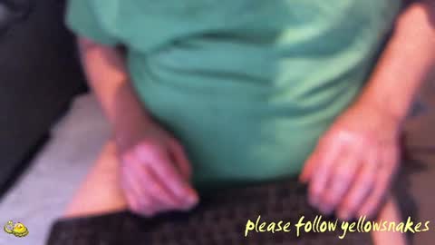 .     y e l l o w s n a k e s       . online show from 9, 1, 2026