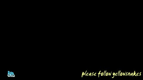 .     y e l l o w s n a k e s       . online show from 12, 5, 2026