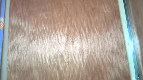 yhang_slut online show from 30, 11, 2025