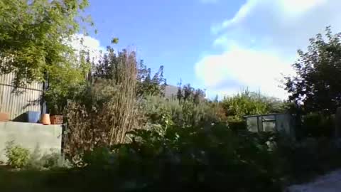 Snapshot of yoannsexmalo chatting on 9, 10, 2025 Yoann online show from 9, 10, 2025