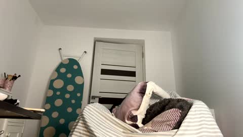 private on 18 per minute start private 500 tokensOnlyfans  online show from 9, 1, 2025