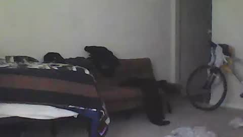 Snapshot of youneverknowimight2 chatting on 15, 2, 2025 kindahorny online show from 15, 2, 2025