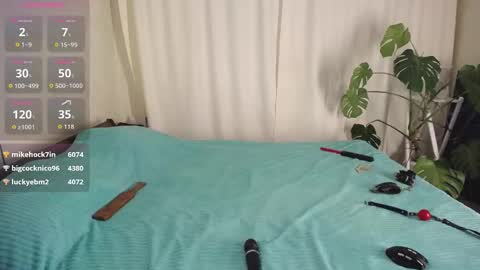 Ginger online show from 9, 10, 2025