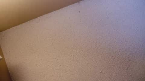 Sophiestar online show from 21, 4, 2026