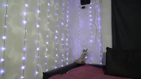 Meri  online show from 20, 2, 2026